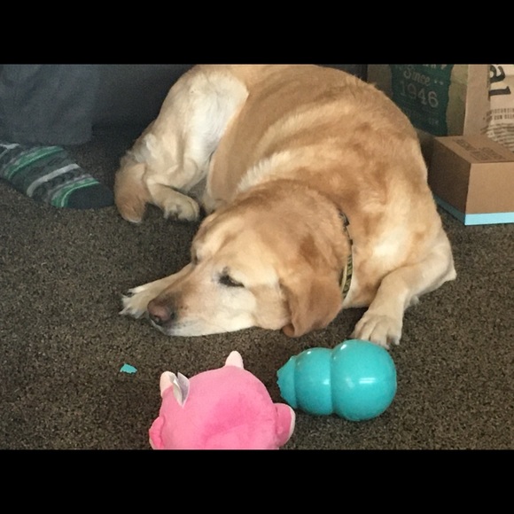 Meet your Posher, Donna - Picture 3 of 6